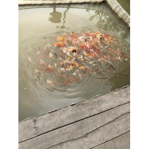 Khu Du Lịch Sinh Thái Thiên Phú