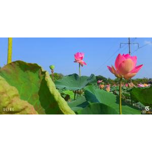 Khu Du Lịch Sinh Thái Thiên Phú