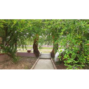 Khu Du Lịch Sinh Thái Thiên Phú