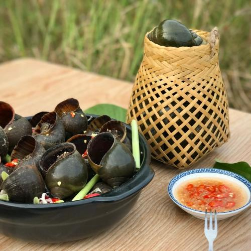 Phụ Nữ Mang Thai Ăn Ốc Được Không? Cần Lưu Ý Điều Gì?