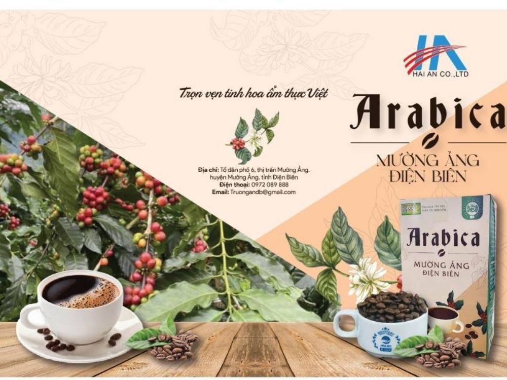 Giới thiệu về Cà Phê Pha Phin Arabica Hải An