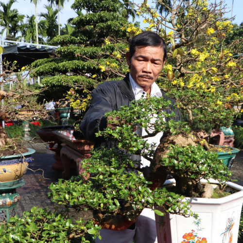 Làng Nghề Trồng Cây Cảnh Xuân Vinh