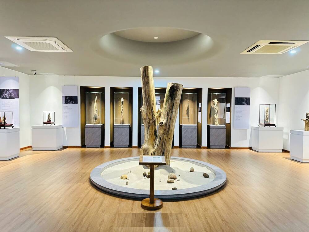 The Lasting Value of the Journey