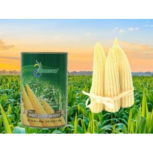 Bắp Non Đóng Hộp Antesco 425g - Đặc Sản An Giang