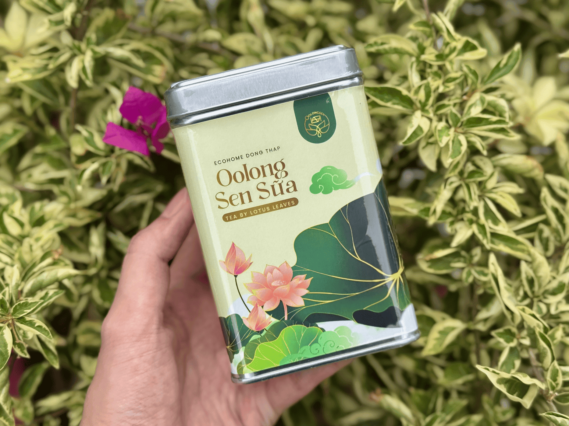 Đối tượng nên sử dụng