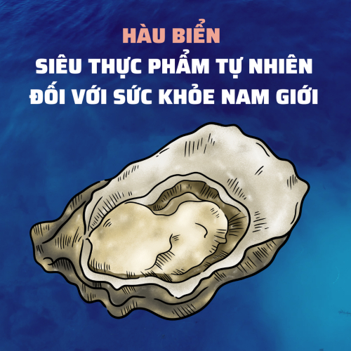 Hàu Biển - Siêu Thực Phẩm Tự Nhiên Đối Với Sức Khỏe Nam Giới